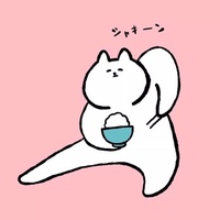 镜头语言控